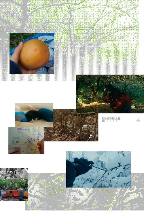 Постер до фільму "A Pear Tree In The Star Village"