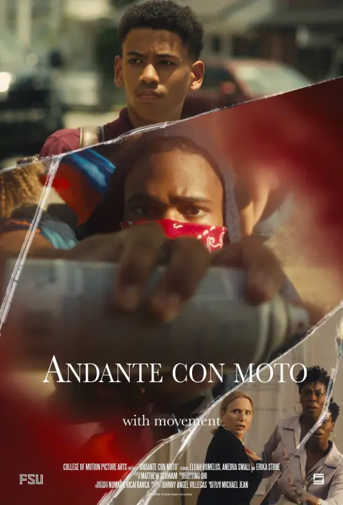 Постер до фільму "Andante con moto"