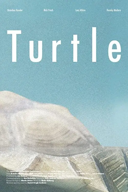 Постер до фільму "Turtle"