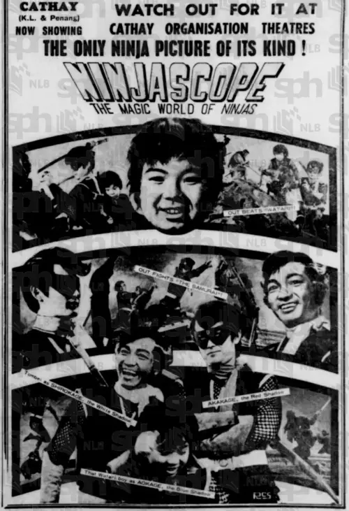 Постер до фільму "Ninjascope: The Magic World of Ninjas"