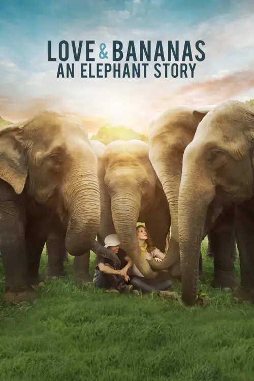 Постер до фільму "Love & Bananas: An Elephant Story"