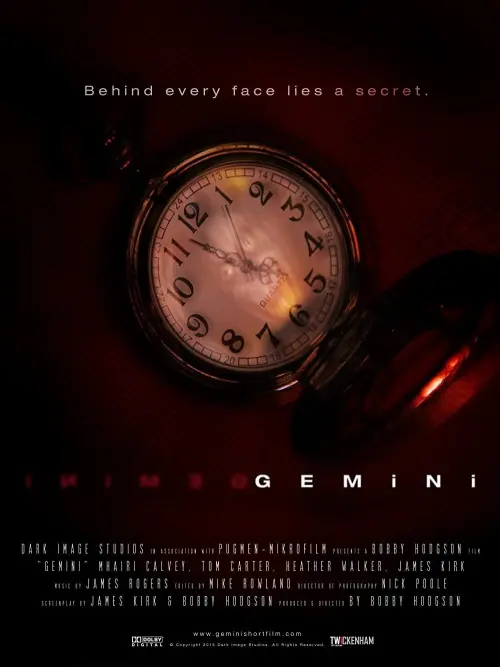Постер до фільму "Gemini"
