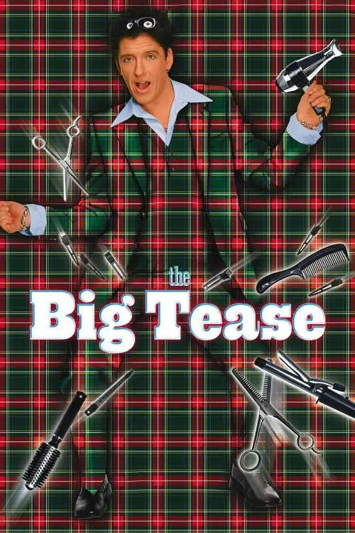 Постер до фільму "The Big Tease"