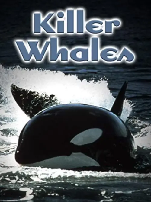 Постер до фільму "Killer Whales: Up Close and Personal"