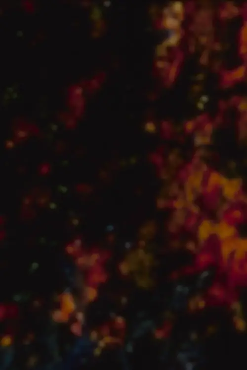 Постер до фільму "The Harrowing"