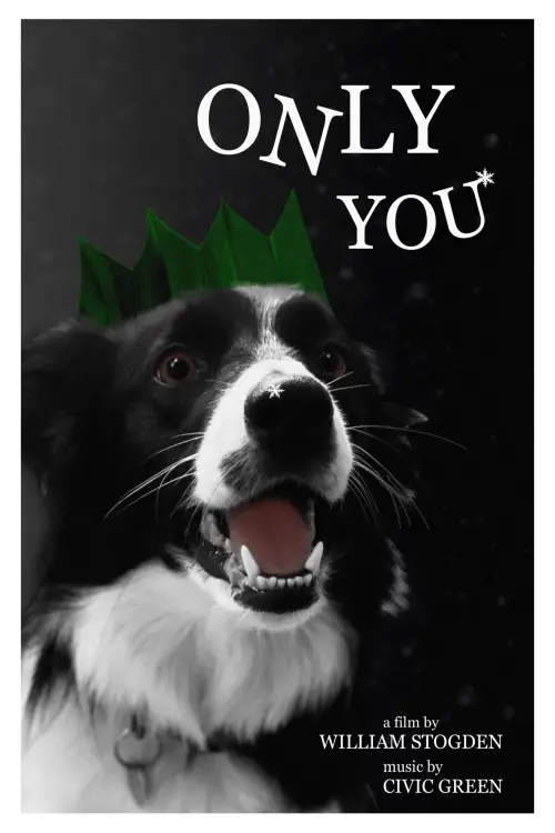 Постер до фільму "Only You"