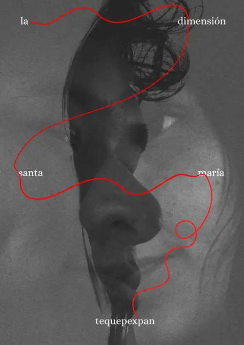 Постер до фільму "la dimensión Santa María Tequepexpan"