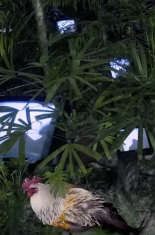 Постер до фільму "The Trace of the Box – Technicalized Good People"