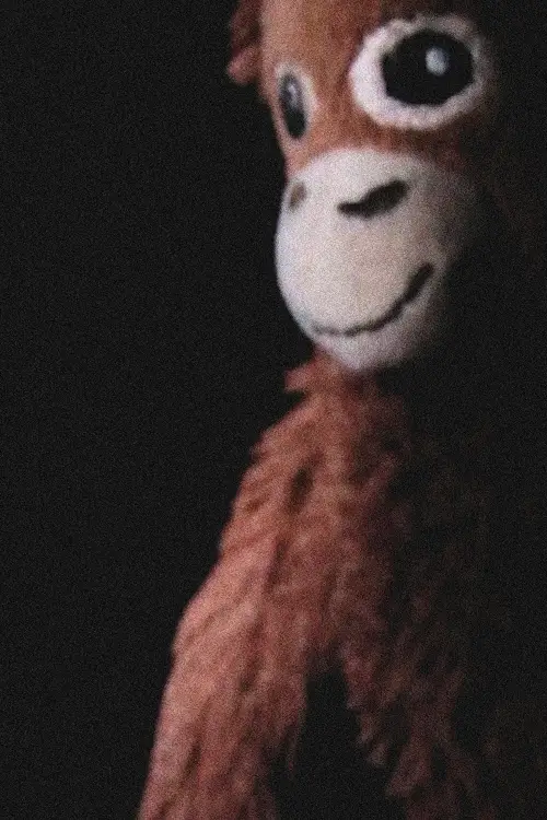 Постер до фільму "The Jay Monkey Project"