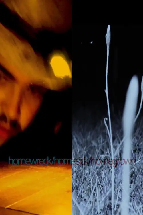 Постер до фільму "homewreck/homesick/homegrown"