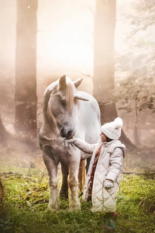 Постер до фільму "Tale of the Forest Unicorn"
