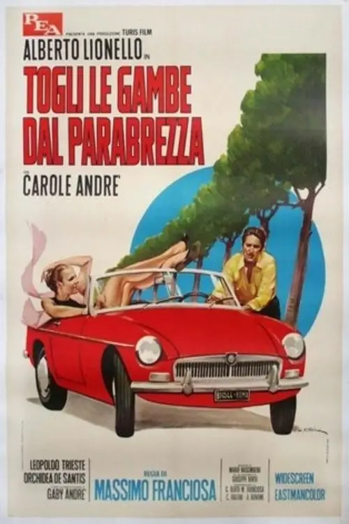 Постер до фільму "Togli le gambe dal parabrezza"
