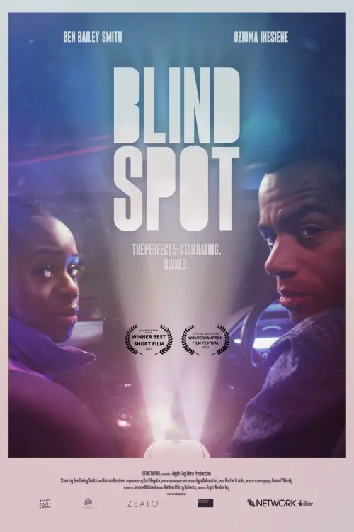 Постер до фільму "Blind Spot"