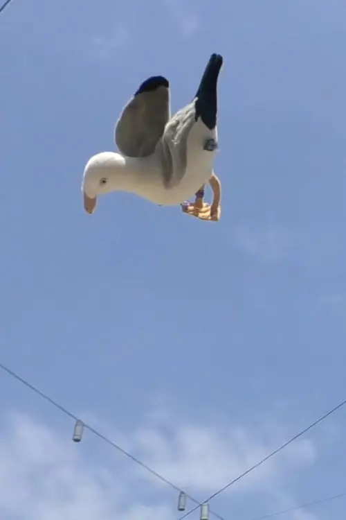 Постер до фільму "Double Jump"