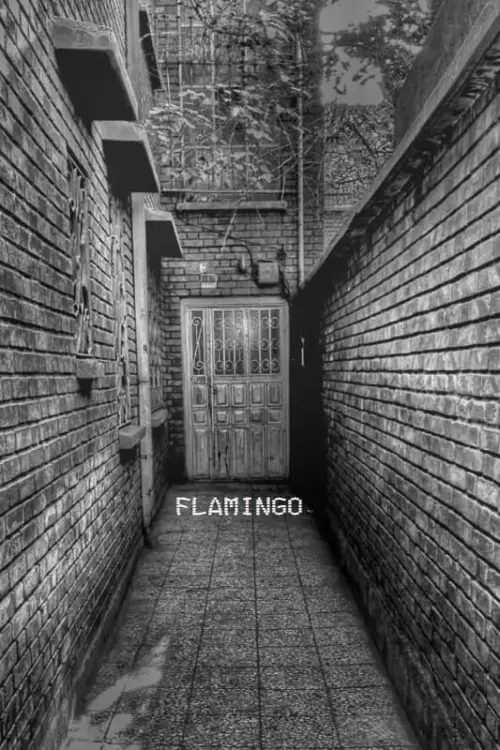 Постер до фільму "Flamingo"