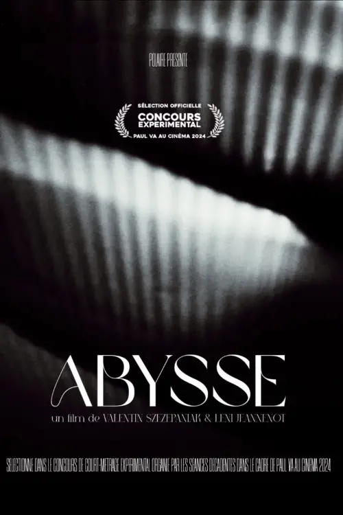 Постер до фільму "Abysse"