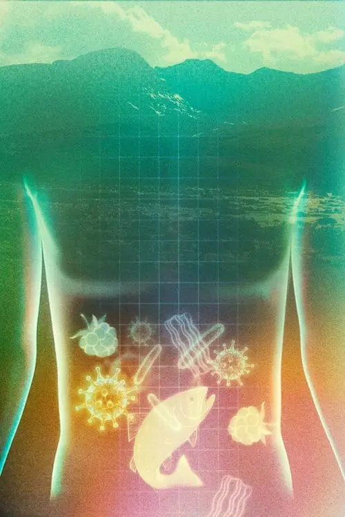 Постер до фільму "Magen i norr"