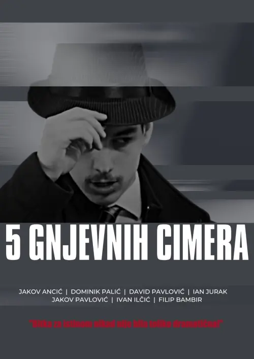 Постер до фільму "5 gnjevnih cimera"