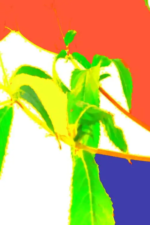 Постер до фільму "Baptism on Pohorje"