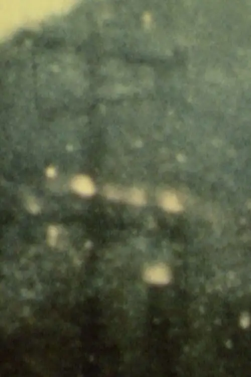 Постер до фільму "Пісня 28"