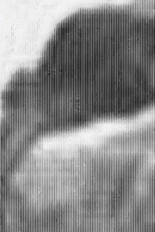 Постер до фільму "Anatomy Class (Chap.2)"