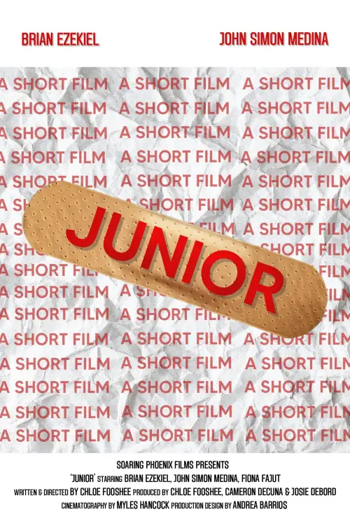 Постер до фільму "Junior"