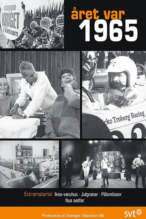 Постер до фільму "Året var 1965"