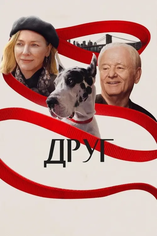 Постер до фільму "The Friend"
