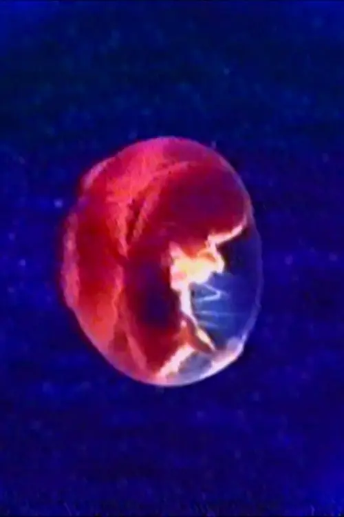 Постер до фільму "Audio and Visual Experiment 23"