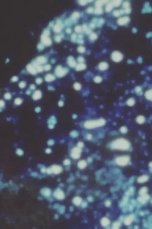 Постер до фільму "Пісня 21"