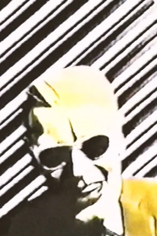 Постер до фільму "The Max Headroom Pirate Incidents"