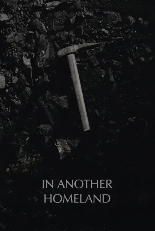 Постер до фільму "In Another Homeland"