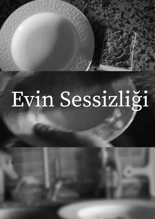 Постер до фільму "Evin Sessizliği"