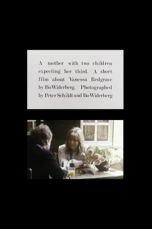 Постер до фільму "A Mother with Two Children Expecting Her Third"