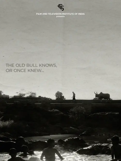 Постер до фільму "The Old Bull knows, or Once Knew"