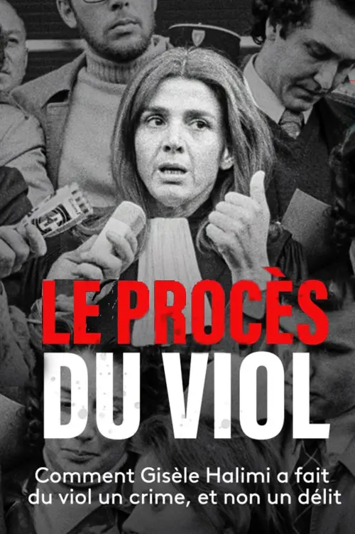 Постер до фільму "Le Procès du viol"