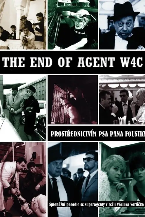 Постер до фільму "The End of Agent W4C"