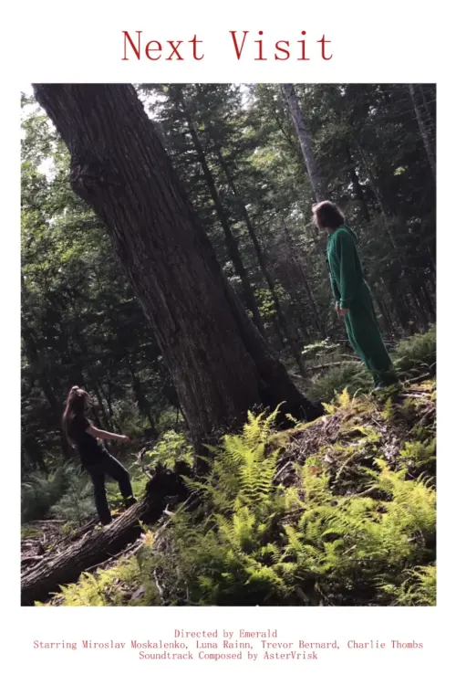 Постер до фільму "Next Visit"