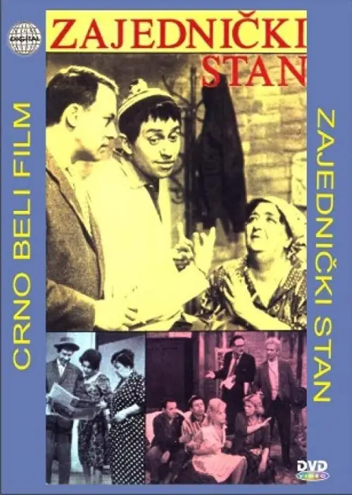 Постер до фільму "Shared Apartment"