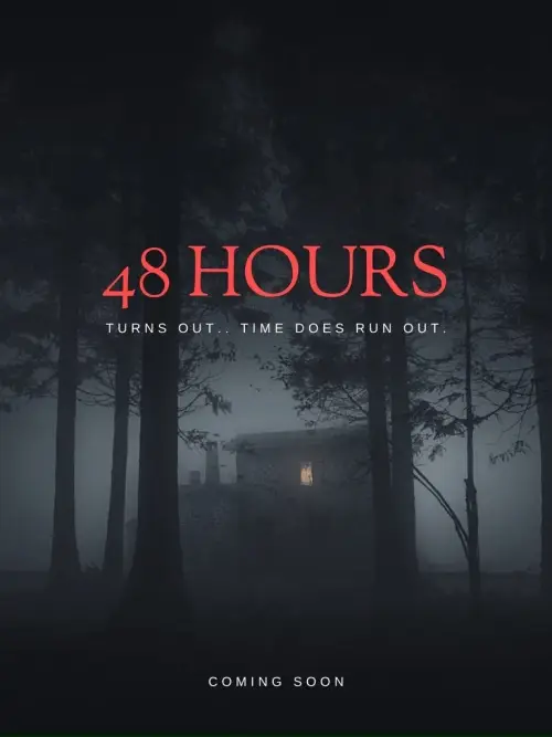 Постер до фільму "48 Hours"