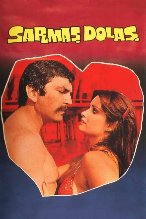 Постер до фільму "Sarmaş Dolaş"