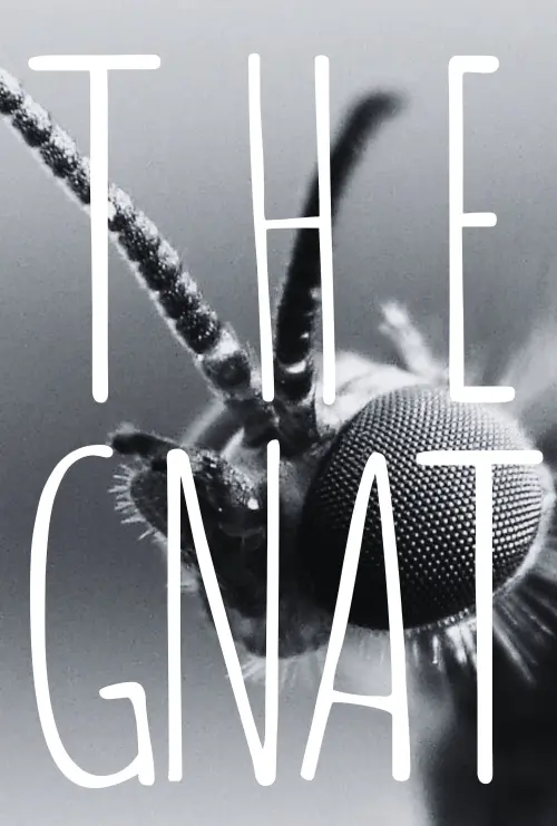 Постер до фільму "The Gnat"