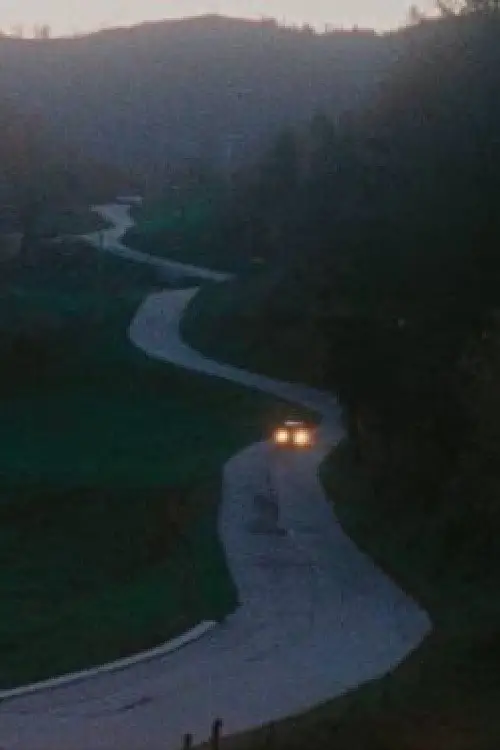 Постер до фільму "At Night"