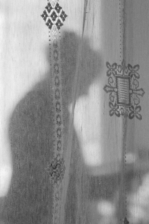 Постер до фільму "Janine’s Room"
