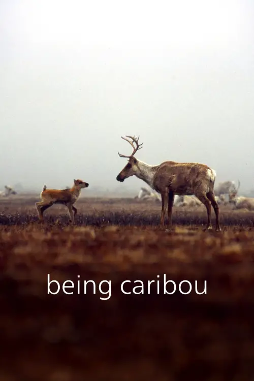 Постер до фільму "Being Caribou"