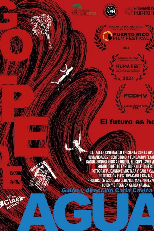 Постер до фільму "Golpe de agua"