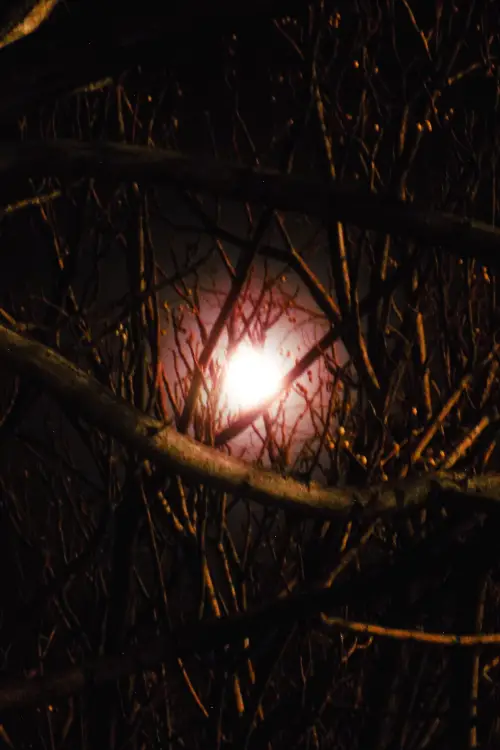 Постер до фільму "Sad and Empty"