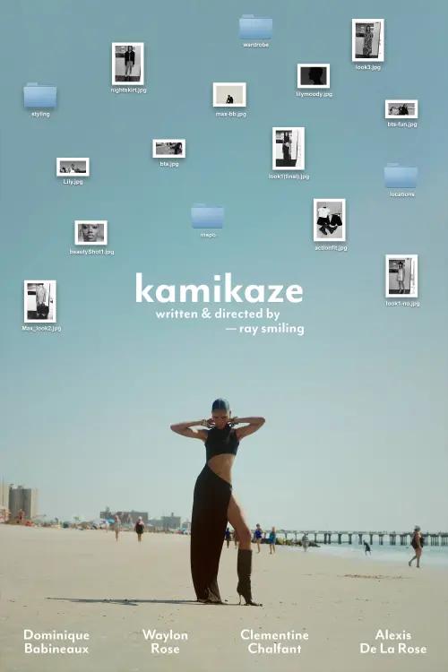 Постер до фільму "kamikaze"
