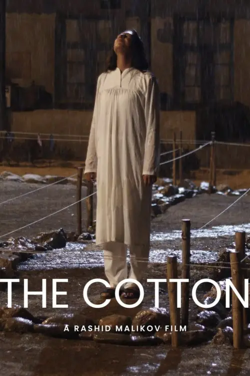 Постер до фільму "Cotton"