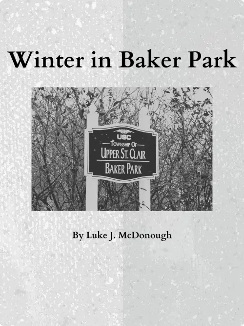 Постер до фільму "Winter in Baker Park"